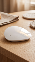 LoRaWAN Indoor Mini Gateway